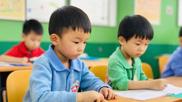 幼兒教育的主要內容